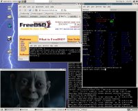 MPlayer pod FreeBSD